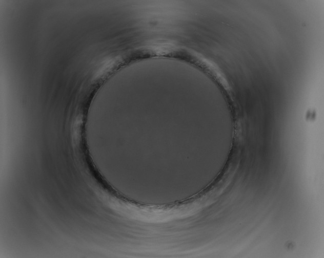 X0000101400018200807281013