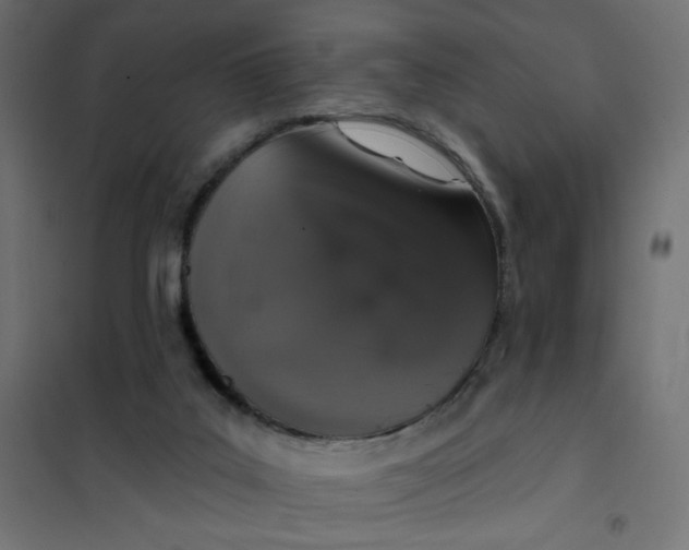 X0000101400019200807281013