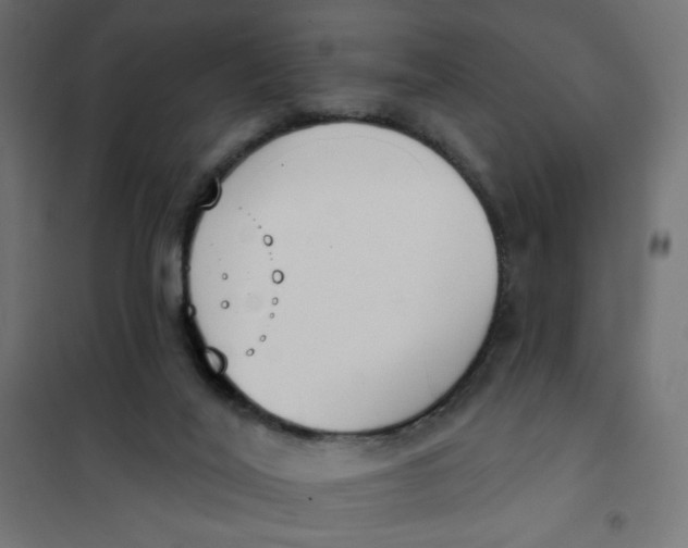 X0000101400020200807281013