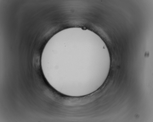 X0000101400021200807281013