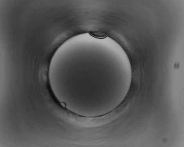 X0000101400023200807281013