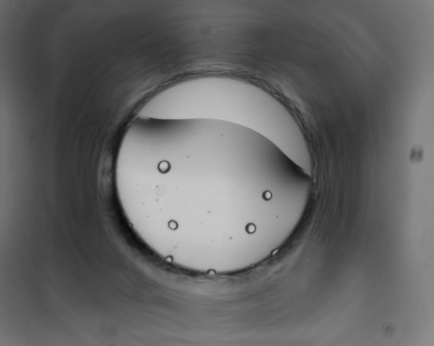 X0000101400024200807281013