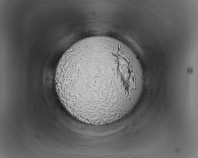 X0000101400026200807281013