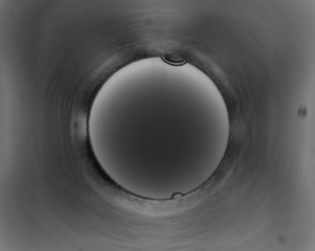 X0000101400027200807281013