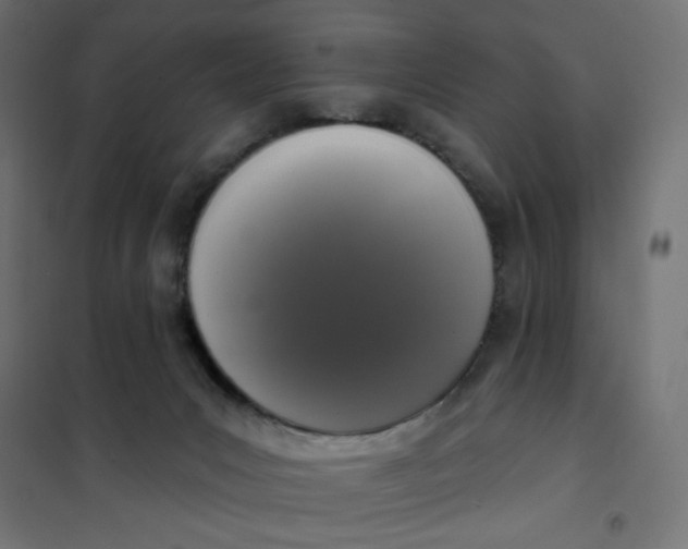 X0000101400031200807281013