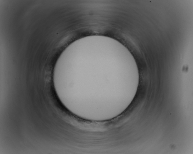 X0000101400032200807281013