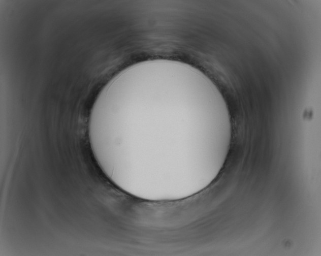 X0000101400033200807281013