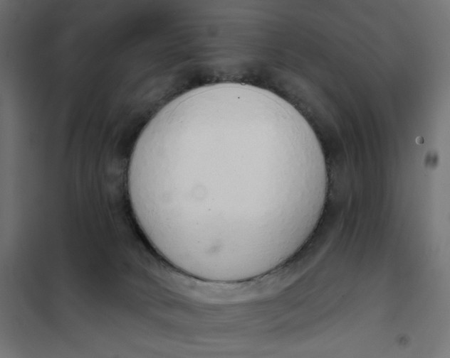 X0000101400034200807281013