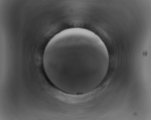 X0000101400039200807281012