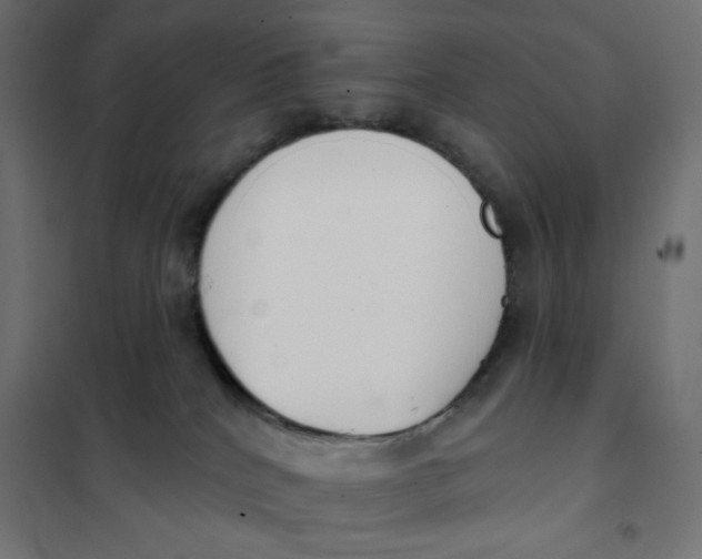 X0000101400040200807281012