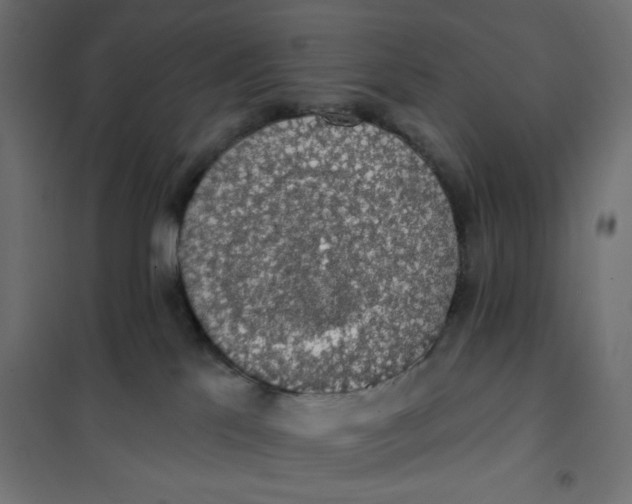 X0000101400041200807281012