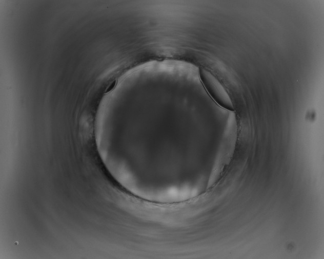 X0000101400043200807281012