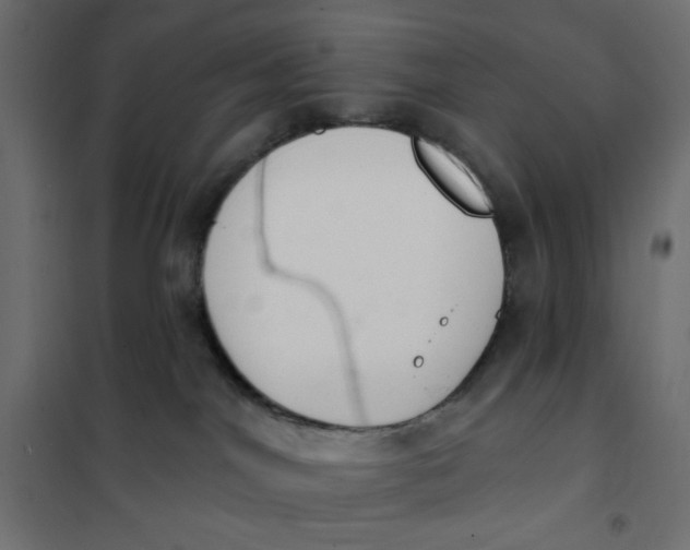 X0000101400044200807281012