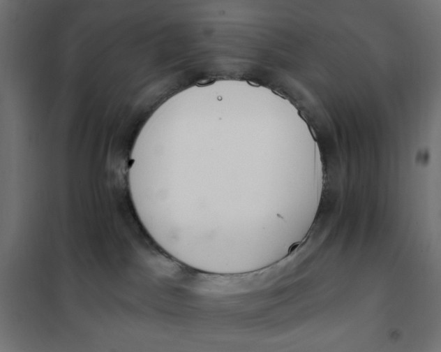 X0000101400045200807281012