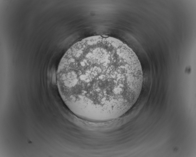 X0000101400046200807281012