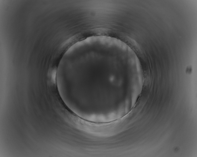 X0000101400047200807281012