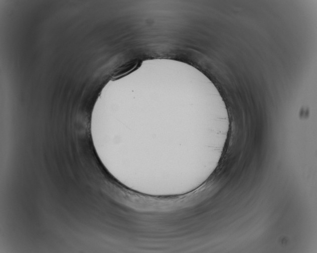 X0000101400048200807281012