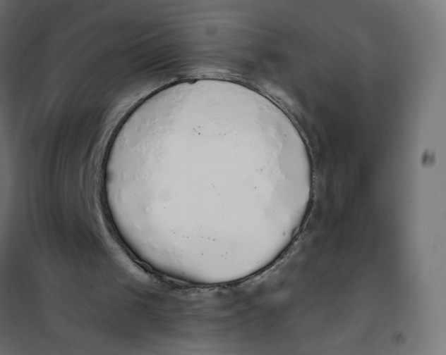 X0000101400049200807281012