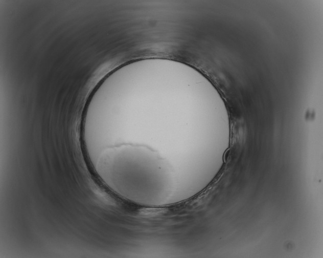 X0000101400051200807281012