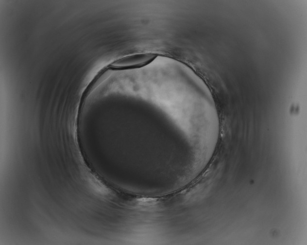 X0000101400052200807281012