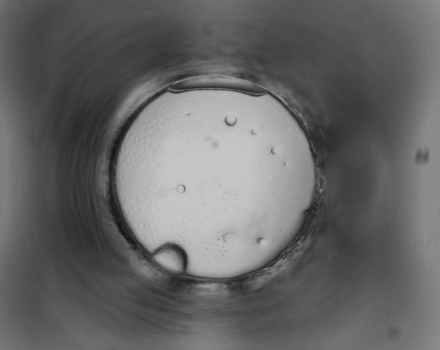 X0000101400053200807281012