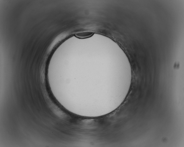 X0000101400054200807281012