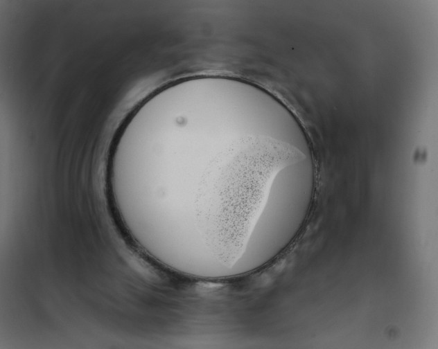 X0000101400055200807281012