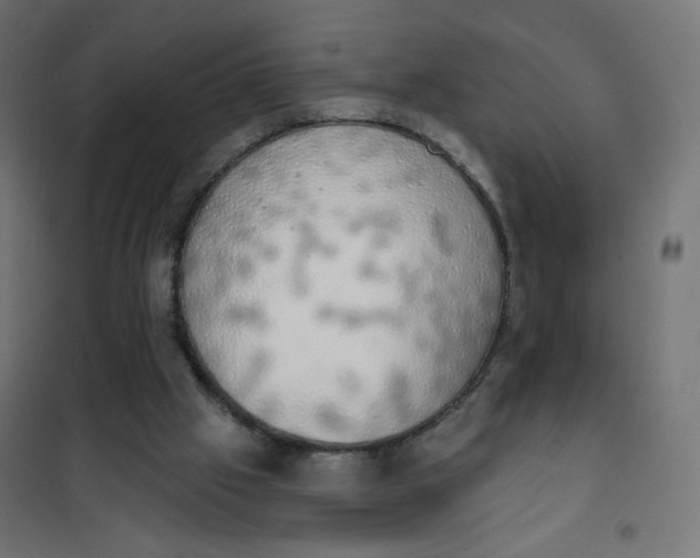 X0000101400057200807281012