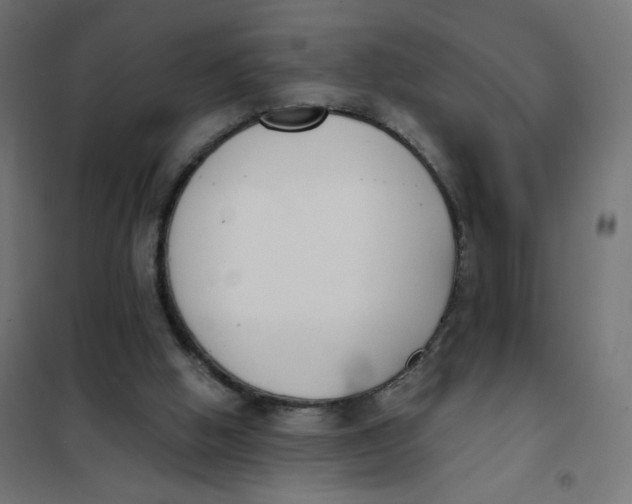 X0000101400058200807281012