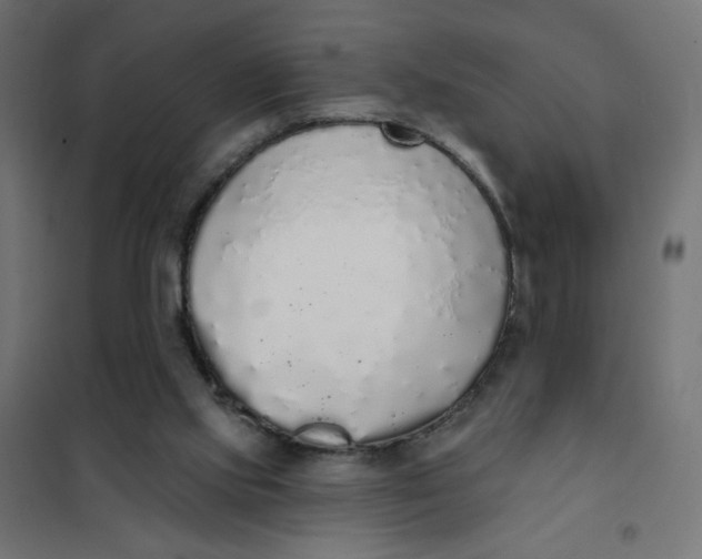 X0000101400061200807281012