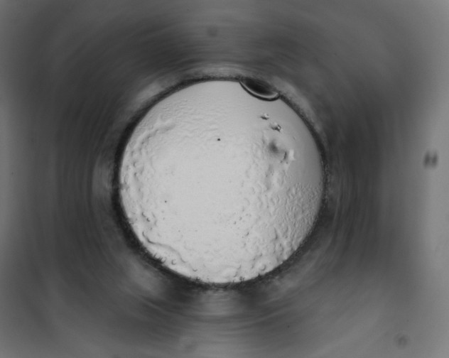 X0000101400063200807281012