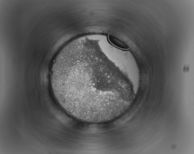 X0000101400064200807281012