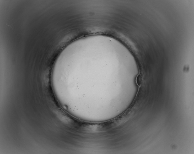 X0000101400065200807281012