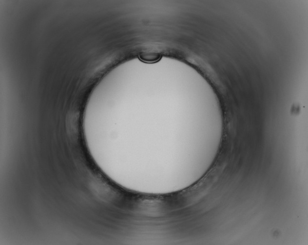 X0000101400066200807281012