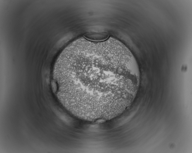 X0000101400068200807281012