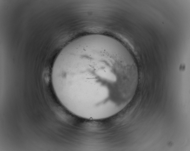 X0000101400069200807281012