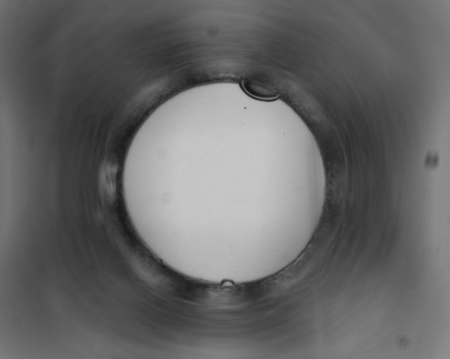 X0000101400070200807281012