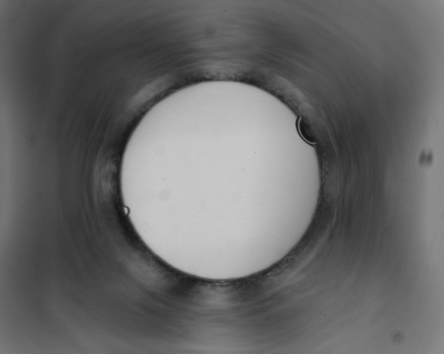 X0000101400071200807281012