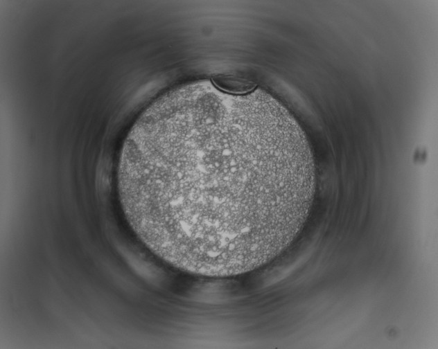 X0000101400072200807281012