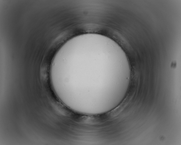 X0000101400074200807281012