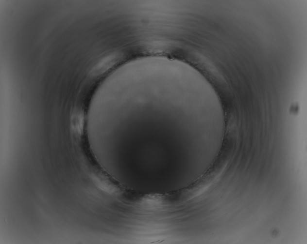 X0000101400076200807281012