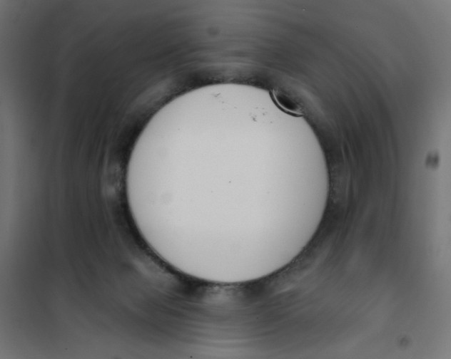 X0000101400077200807281012