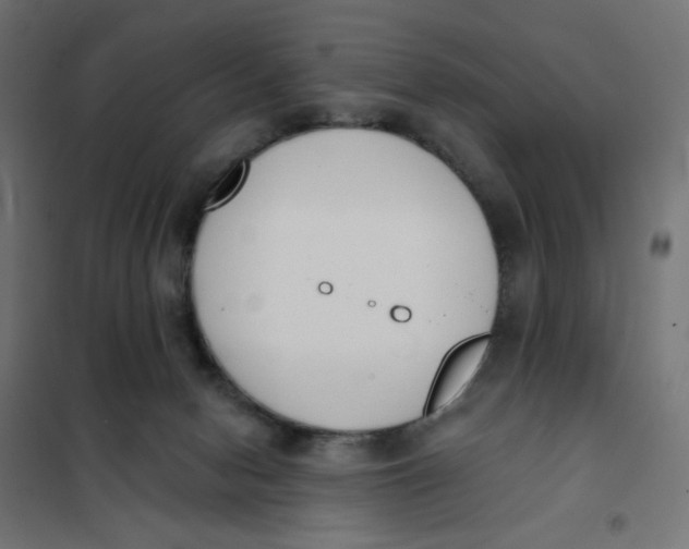 X0000101400078200807281012