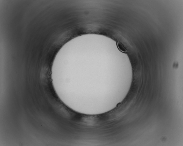 X0000101400079200807281012