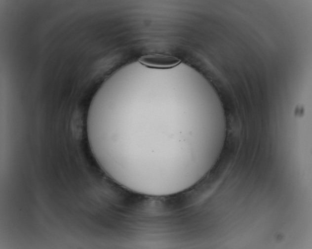 X0000101400080200807281012