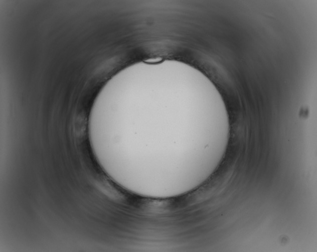 X0000101400081200807281012