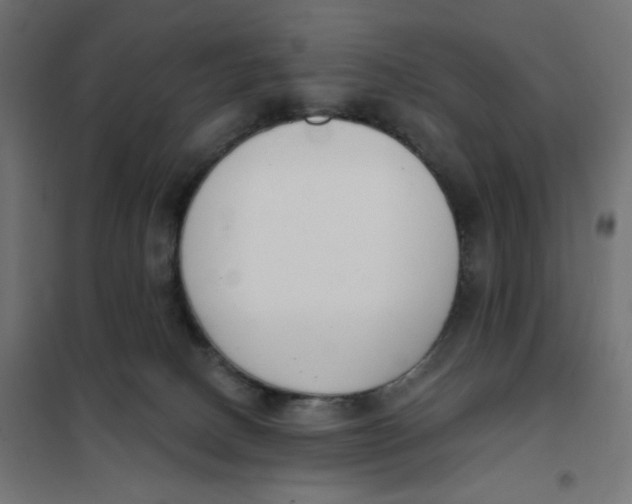 X0000101400082200807281012