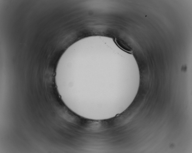 X0000101400083200807281012