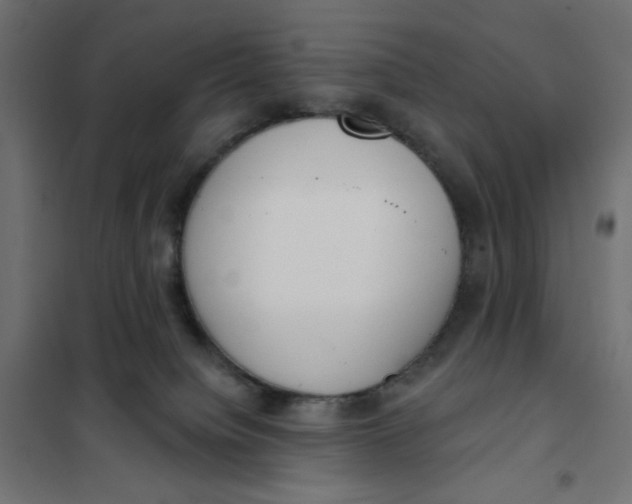 X0000101400084200807281012