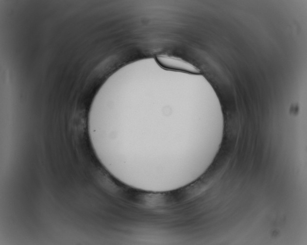 X0000101400085200807281012